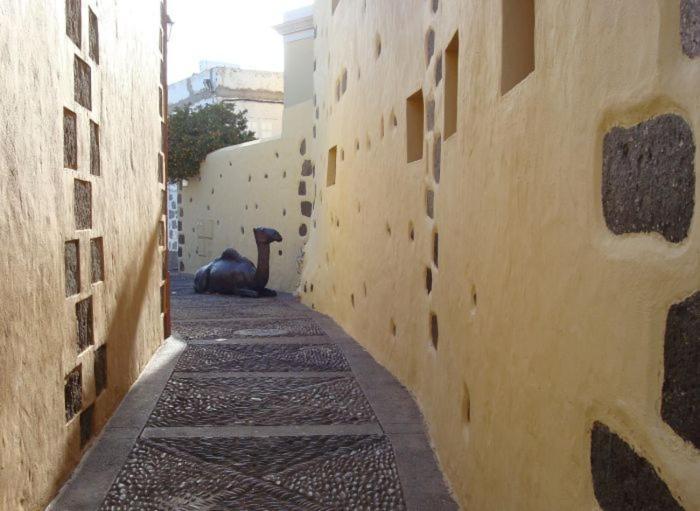 Multiaventura En Agueimes Apartment Exterior photo